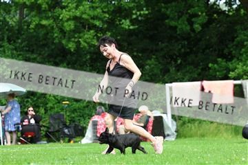 181564_rin_02_R62_1709.JPG