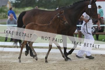125406_sc_01_IMG_2332.jpg