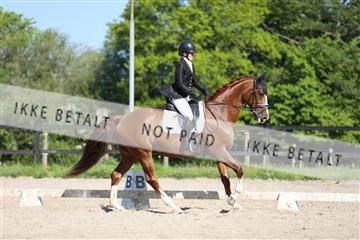 168732_mtp_01_3M5A8479.JPG