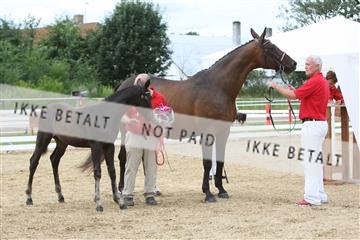 125406_sc_02_IMG_0435.jpg