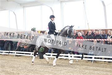 174363_kbb_01_R6II7882.JPG