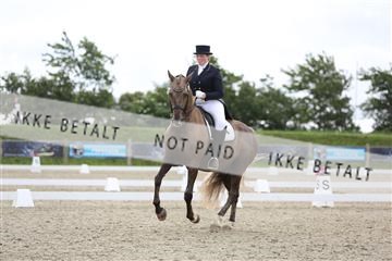 156196_nn_01_IMG_5363.JPG