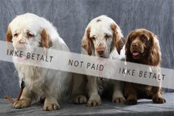 129608_le_ 01_0728.JPG