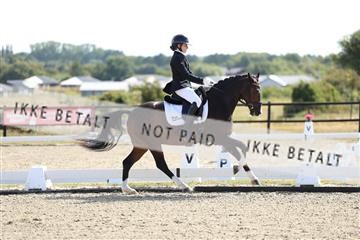 181894_mtp_02_R62_1727.JPG