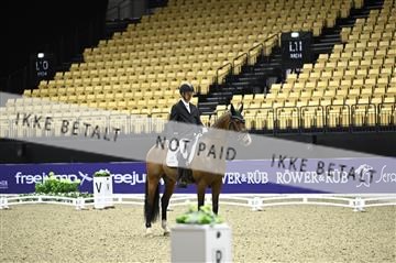 182194_kbb_02_Z097872.JPG