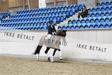 182241_kbb_01_Z095173.JPG