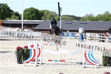 181436_avh_03_5018.JPG