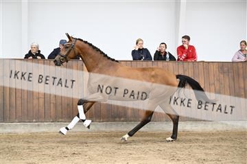 181739_kbb_01_Z090493.JPG