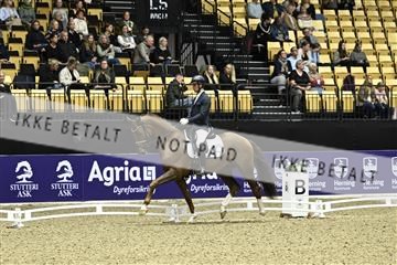182194_kbb_03_Z090767.JPG