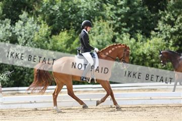 156196_nn_01_IMG_6223.JPG