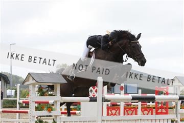 5350_sme _08_IMG_4925.JPG