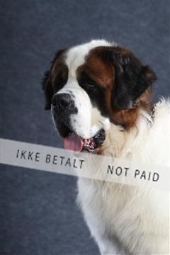 132082_le_ 01_IMG_0753.JPG