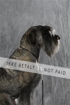 128239_le_kort_ 01_0424.JPG