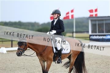 181894_mtp_05_R62_4210.JPG