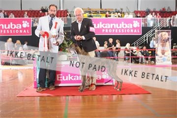 6068_ma_05_IMG_5725.JPG