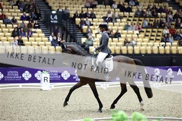 182194_mlm_02_R62_0332.JPG
