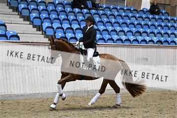 182241_kbb_01_Z093733.JPG
