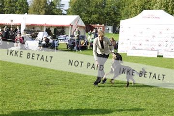182009_kar_01__62_7273.JPG