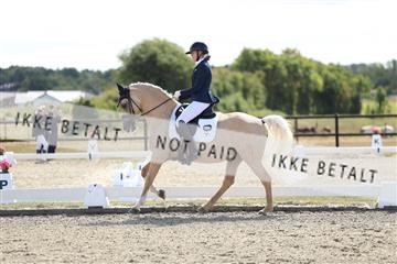 181894_mtp_02_R62_1469.JPG