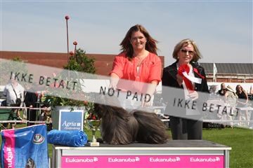 130370_se_02_IMG_6346.JPG