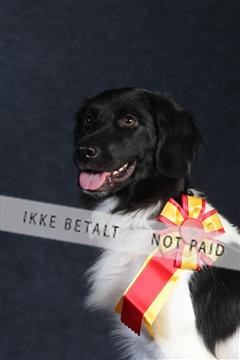 132082_le_ 01_IMG_0559.JPG