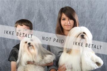 129608_le_ 01_0611.JPG