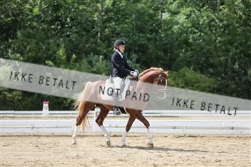 156196_nn_01_IMG_6323.JPG