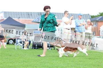 181564_rin_01_R62_0144.JPG