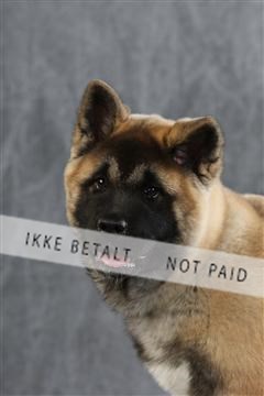 128239_le_ 06_0054.JPG