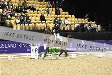 182194_kbb_03_Z090856.JPG
