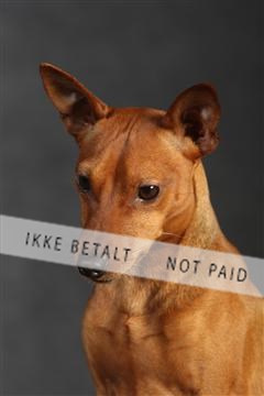 132082_le_ 01_IMG_0220.JPG