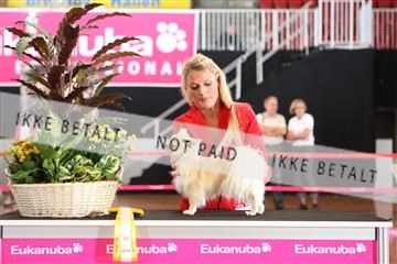 6068_ma_07_IMG_7114.JPG