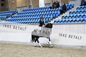 182241_kbb_01_Z093568.JPG