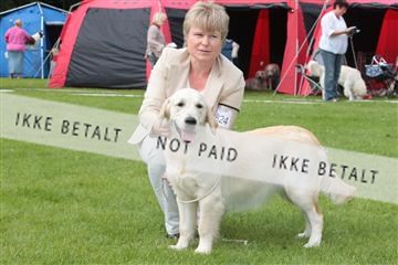 130370_tl_02_IMG_7691.JPG