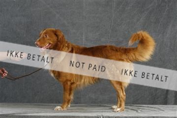 5493_sme _02__MG_9719.JPG