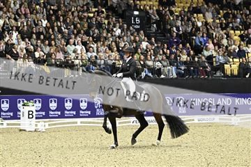 182194_kbb_03_Z092430.JPG