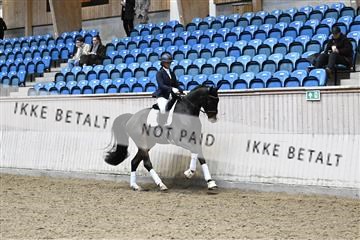 182241_kbb_01_Z095254.JPG