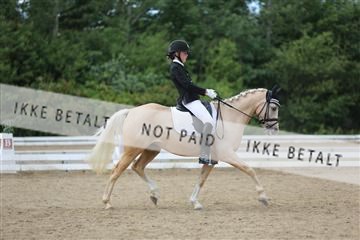 156196_nn_01_IMG_6453.JPG