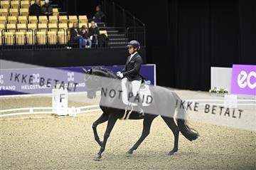 182194_kbb_02_Z098752.JPG