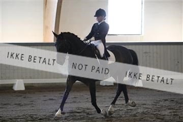 139267_kl_1_8M1Q6840.JPG