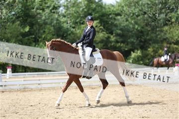 156196_nn_01_IMG_6312.JPG