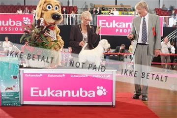 6068_ma_05_IMG_6014.JPG
