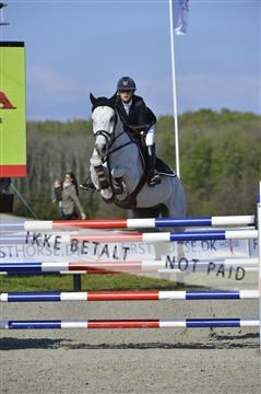 139644_abo_02__AB14451.JPG