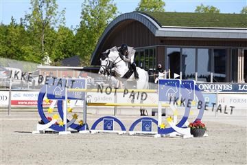 181436_avh_02_3543.JPG