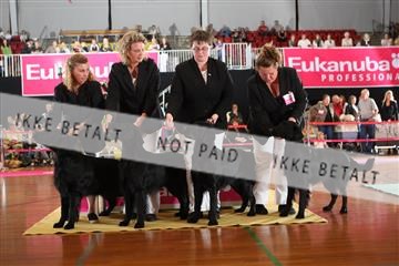 6068_ma_05_IMG_5556.JPG