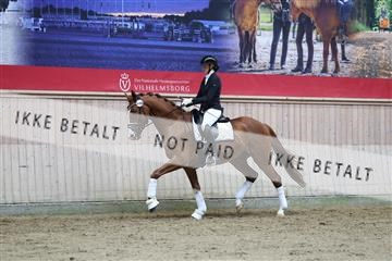 181887_mtp_02_R62_7781.JPG