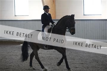 139267_kl_1_8M1Q6946.JPG