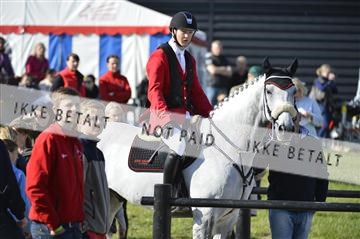 139644_abo_02__AB14552.JPG