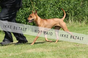 130370_se_02_IMG_5953.JPG