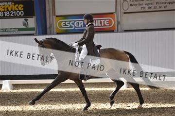 139422_bc_01__BC25691.JPG